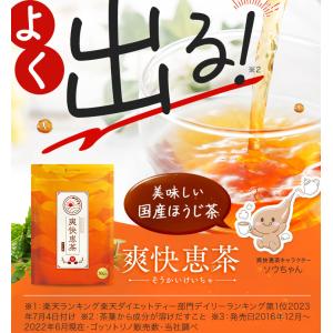ほうじ茶 ティーバッグ 爽快恵茶 1包 5g ...の詳細画像1