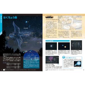 星と星座 新版の詳細画像1