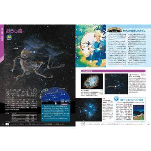 星と星座 新版の詳細画像2