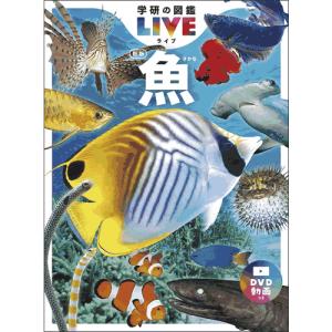 小学館の図鑑 NEO［新版］魚 DVD付 : 六本木 蔦屋書店 ヤフー店 - 通販