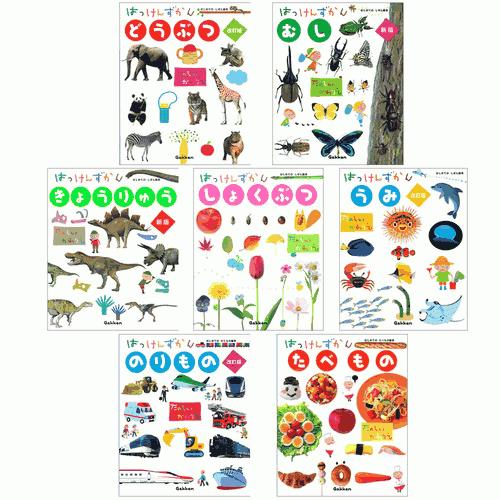 はっけんずかん（７巻）