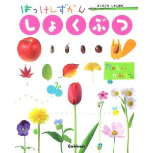 はっけんずかん) むし 新版 : 枚方 蔦屋書店 Yahoo!店 - 通販 - Yahoo