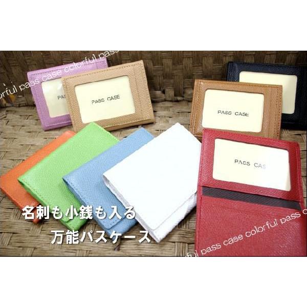 牛革　マチありポケット・ファスナーポケット付き定期入(パスケース) 得トク0706