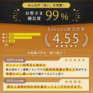 金時しょうが 粒タイプ 120粒 【送料無料】...の詳細画像1