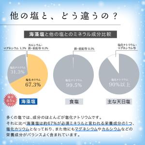 【国産】海藻塩 200g 【送料無料】北海道産...の詳細画像3
