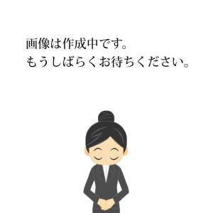 アウディ(Audi) 純正 ウィンドーウォッシャー濃縮液