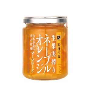 セゾンファクトリー 謹製ジャム ネーブルオレンジ 245g