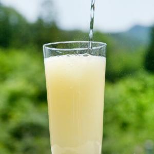 セゾンファクトリー 飲む生姜の力 265mlの詳細画像3