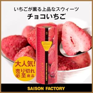チョコ チョコレート プレゼント ご褒美 2024 ランキング チョコいちご 100g  セゾンファクトリー 複数配送対応  家族  大量  職場