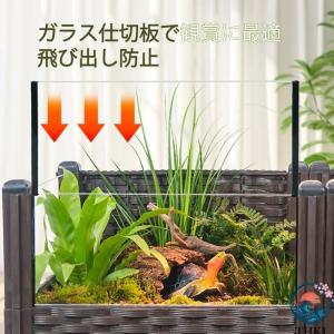 亀 水槽 カメ水槽 大型爬虫類ケージ 脱走防止...の詳細画像2