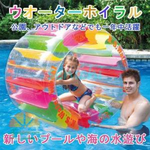 ウォーターホイール プール 夏 海 フロート 水...の商品画像