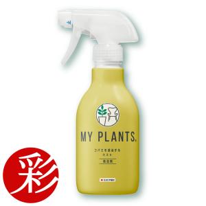 MY PLANTS 葉をきれいにするミスト 葉面洗浄剤 スプレー 220ml KINCHO