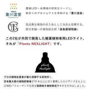 観葉植物用育成ライト PLANTS NEXLI...の詳細画像2