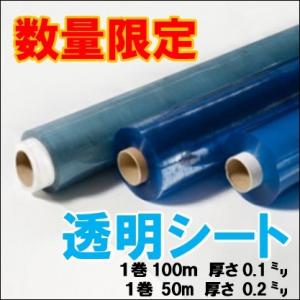 アキレス透明ビニールシート　0.2mm幅×約40m アキレス（achilles） 梨地クリア 半透明ビニールシート 0.2mm厚