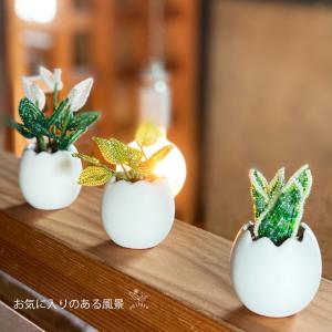 ビーズフラワーキット ミニ観葉植物3種のたまご...の詳細画像1
