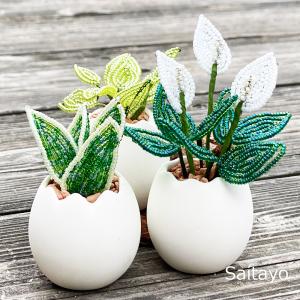 ビーズフラワーキット ミニ観葉植物3種のたまご...の詳細画像2