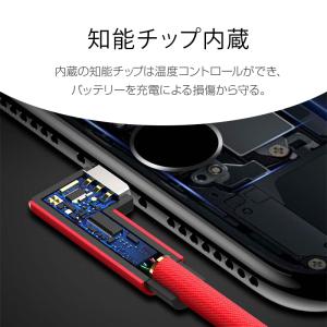 自由選択 1m 2m 3m ios Type-...の詳細画像5