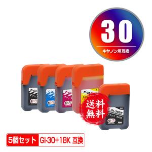 GI-30PGBK ブラック 顔料 お得な2個セット キヤノン 互換インクボトル