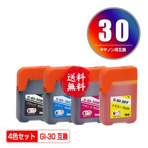 GI-30PGBK ブラック 顔料 お得な2個セット キヤノン 互換インクボトル