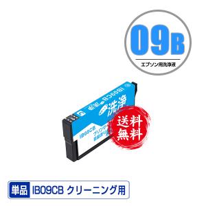 EPSON インクカートリッジ IB09 シリーズ　18個セット 純正インクカートリッジ EPSON IB09 電卓 EPSON エプソン純正インク