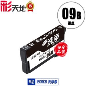 EPSON IB09CL4B 大容量4色インクカートリッジ エプソン純正大容量インク4色パックIB09CL4B