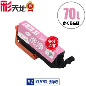 インクのチップス RICOH リコー SG廃インクボックス IC41 単品【互換廃
