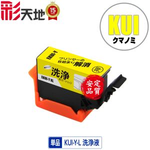クリーニングカートリッジ KUI-BK-L ブラック 増量 単品 エプソン用