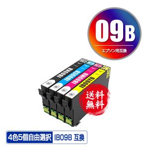 IB09B (IB09Aの大容量) 4色5個自由選択 黒最大2個まで エプソン 互換インク インクカートリッジ 送料無料 (IB09 IB09A IB09B IB09CL4B IB09CL4A IB 09 PX-S730)｜saitenchi