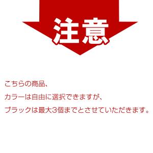 IB09B (IB09Aの大容量) 4色6個自...の詳細画像1
