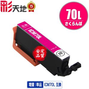 クリーニングカートリッジ ICBK70L ブラック 増量 単品 エプソン用