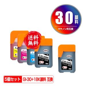 GI-30PGBK 顔料 GI-30C GI-30M GI-30Y 4色セット + GI-30PGBK お得な5個セット キヤノン 互換インクボトル インクカートリッジ 送料無料 (GI-30 G5030 GI 30)｜saitenchi