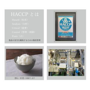 新米 米 米20kg お米 ひとめぼれ 白米2...の詳細画像4