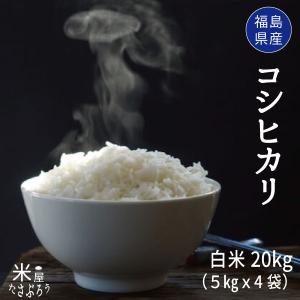 米 お米 米20kg　コシヒカリ 白米20kg 5kgx4袋  令和5年度福島県産　｜saito-rice-3529
