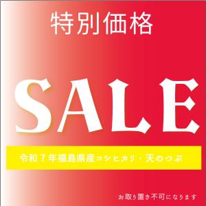 【大好評につき延長SALE】米 米10kg お...の詳細画像1
