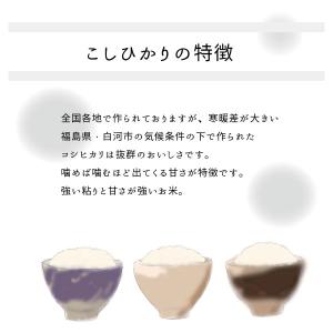 【爆買paypayポイント還元最大30%】米 ...の詳細画像2