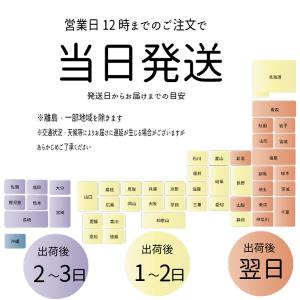 【爆買paypayポイント還元最大30%】米 ...の詳細画像5