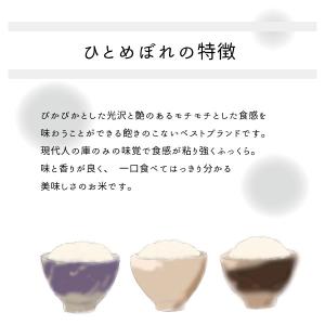 米10kg 米 お米 10kg ひとめぼれ 白...の詳細画像2