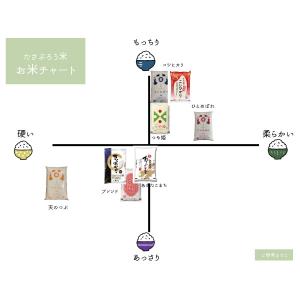 米10kg 米 お米 10kg ひとめぼれ 白...の詳細画像4