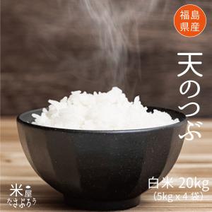 米 お米   米20kg  天のつぶ 白米20kg 5kgx4袋 令和6年福島県産 販売終了　