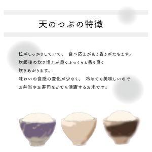 米 20kg 天のつぶ 白米 令和7年 福島県...の詳細画像2