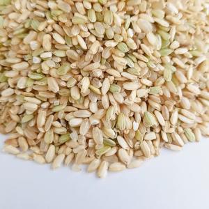 青米(くず米) 500g 国産の詳細画像2
