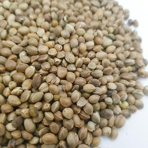 麻の実 800gの詳細画像1