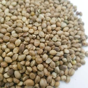 麻の実 500gの詳細画像1