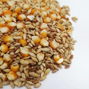 鳩の餌 特別配合 I 500g 鳩 餌 エサ ...の詳細画像1