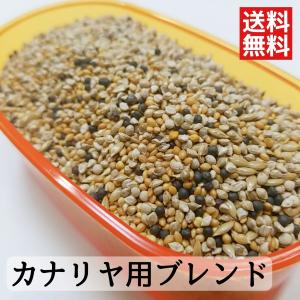 カナリヤ用ブレンド　500g　｜saitoucopo