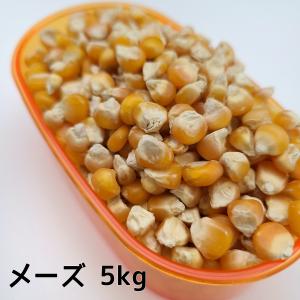 メーズ小粒 5kg とうもろこし小粒の商品画像