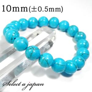 天然琥珀 虫入り琥珀 ルース バルト海産高級天然琥珀 大きな虫入り