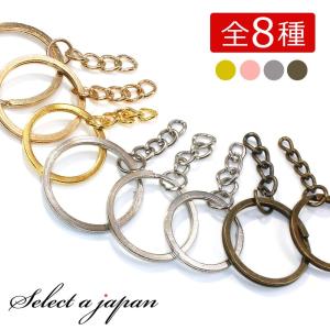 カラフル シェル さざれ石 穴あり 10g 天然石 貝 マリン パーツ