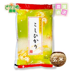あきたこまち 7年産 秋田県大潟村産 特別栽培米 玄米5Kg 白米・7分