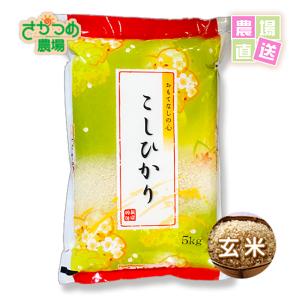お米　コシヒカリ　20kg　令和5年　新潟産　特別栽培　玄米　送料無料　産地直送｜saka-farm